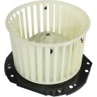 Bm10020 Delphi New General Motor