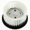 Pt05842701b Partube Front Heater Blower Motor Fan Cage For Gmc Chevy