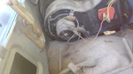 Blower Motor Standard Duty Fits 65-87 Chevrolet 10 Pickup 3841633. Fixed Price $45.00.